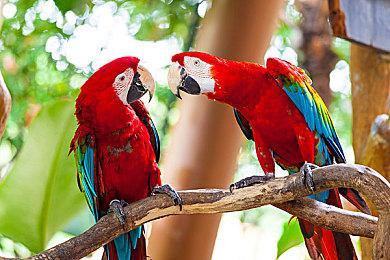 《玩具熊的五夜后宫》新作泄露 主创：泄露了也没关系